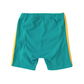 COLOR-BANDIT STRIPE BIKE SHORTS